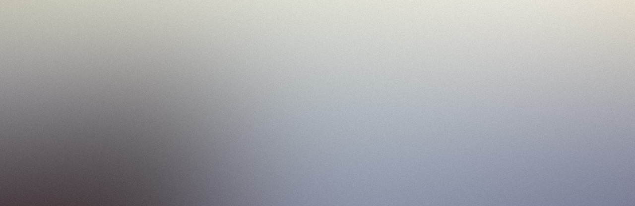 上海青鸾集团队